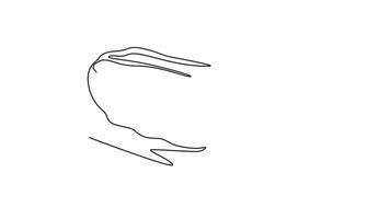 Self drawing animation of single line draw of half sliced healthy organic sponge gourd for logo identity. Fresh Vietnamese luffa concept for vegetables icon. Continuous line draw. Full length animated video