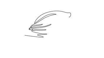 Animated self drawing of continuous line draw of whole healthy organic cocoa beans for plantation logo identity. Fresh cacao bean concept for chocolate drink shop icon. Full length one line animation video