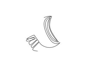 Animated self drawing of continuous line draw of half sliced healthy freshness raw organic beetroot for farm logo identity. Freshness table beet concept vegetable icon. Full length one line animation video