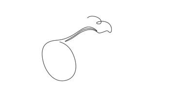 Self drawing animation of single line draw half sliced healthy organic raw butternut pumpkin for farm logo identity. Winter squash concept vegetables icon. Continuous line draw. Full length animated video