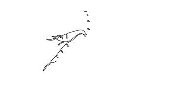 Self drawing animation of single line draw whole healthy organic cassava plantation logo identity. Fresh edible starchy tuberous root concept for farm icon. Continuous line draw. Full length animated video