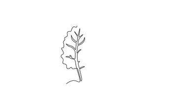 animado auto desenhando do contínuo linha desenhar grupo pilha do saudável orgânico cru suíço acelga para Fazenda logotipo identidade. fresco frondoso espinafre beterraba conceito para vegetal ícone. cheio comprimento 1 linha animação video