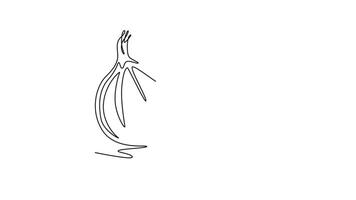Animated self drawing of continuous line draw of whole and sliced healthy freshness organic bulb onion for farm logo identity. Fresh common onion concept vegetable icon. Full length one line animation video