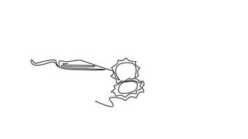 Self drawing animation single line draw whole and sliced healthy organic sponge gourd for logo identity. Fresh Vietnamese luffa concept for vegetables icon. Continuous line draw. Full length animated video