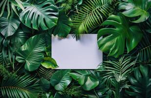 White Card Surrounded By Lush Tropical Greenery photo