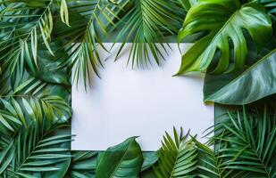 Tropical Leaf Border Surrounding White Paper photo
