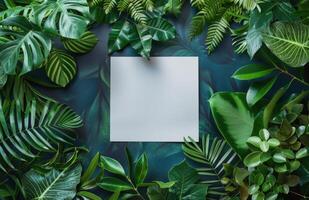 White Card Surrounded By Lush Tropical Greenery photo