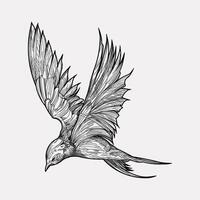 Swallow bird flying handrawn artwork vector