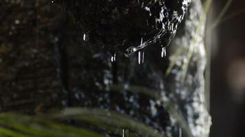 Stalactite rock with water sliding and falling video