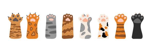 set of cat paws. Different cute cat paws. Collection of pets feet with claws and different fur. Objects isolated on white background. vector