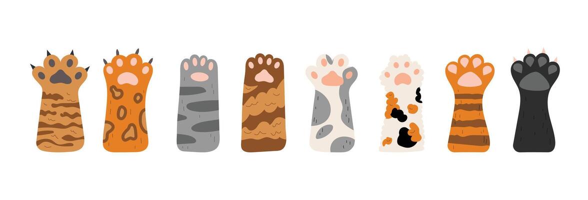 set of cat paws. Different cute cat paws. Collection of pets feet with claws and different fur. Objects isolated on white background.