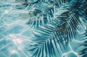 Palm Tree Shadows on Rippling Pool Water photo