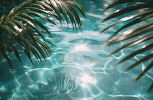 Palm Fronds Overlapping Crystal Clear Pool Water photo
