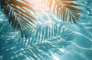 Palm Fronds Casting Shadows on Pool Water During Sunny Day photo