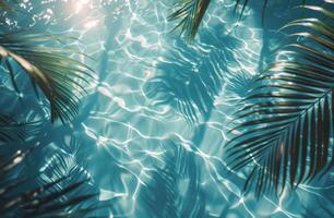 Palm Tree Shadows on Rippling Pool Water photo
