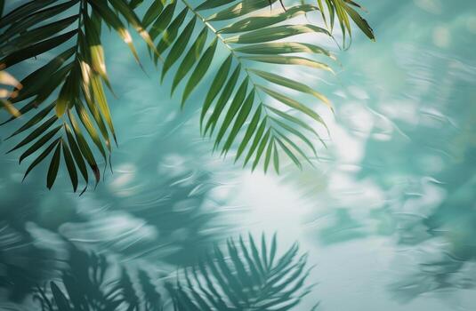 Palm Tree Shadows on Rippling Pool Water photo