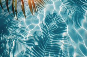 Palm Fronds Casting Shadows on Pool Water During Sunny Day photo
