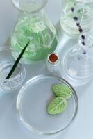 Various bottles on table in laboratory photo