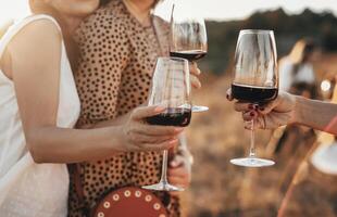 Friends clinking glasses with wine during picnic photo