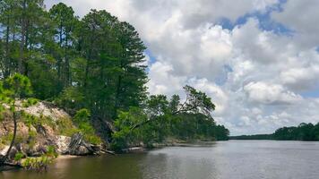 Riverside Forest under Blue Skies, A scenic view of a river bordered by lush green forest under a partly cloudy sky The calm water reflects the surrounding trees video