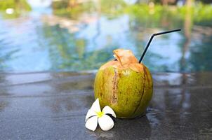 Green coconut with a straw on the edge of a pool photo