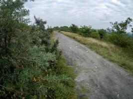 road on a hill in the countryside photo