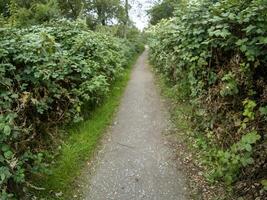 road on a hill in the countryside photo