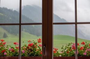 Transom window with balcony plants and mountains in the background photo