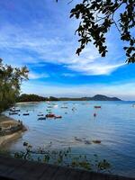 Scenic View of Boats in a Serene Tropical Bay photo