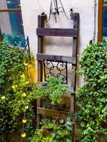 Charming Cafe Corner with Ivy and Decorative Wall Tiles photo