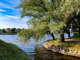 A serene riverside park in St. Petersburg with lush green trees and a peaceful water view. Ideal for themes of nature, relaxation, and urban green spaces photo