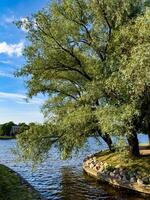 A serene riverside park in St. Petersburg with lush green trees and a peaceful water view. Ideal for themes of nature, relaxation, and urban green spaces photo