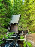 A charming image of a rustic watermill nestled in a lush green forest. The wooden structure and flowing stream create a picturesque scene, ideal for themes of nature, history, and rural life. photo