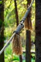 A detailed close-up of a frayed rope tied around a tree in a forest. The natural textures and background greenery create a rustic, outdoorsy feel, perfect for themes of nature, adventure, and rustic craftsmanship. photo