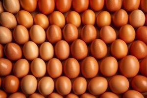 A lot of raw brown eggs in many rows as background photo