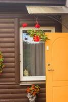 wooden house with cat sitting behind the window . High quality photo