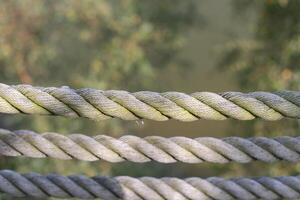 three rows of braided ropes against the green foliage of trees, the background is dimly visible, the setting sun gives a golden glow and shadows photo