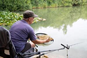 The fisherman caught a bream with a net for a successful catch in the summer on the lake, fishing sport, after catching the man releases the fish into the water, High quality photo