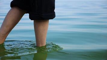 Legs of adult woman in polluted green aqua from waste into river. Female feet walking in dirty sea water. Global environmental pollution problem. Concept of ecological disaster. Slow motion video