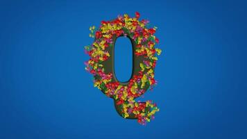 3d Q alphabet moving right and left designed with colorful flowers on blue background. Latin letters with luma mate video