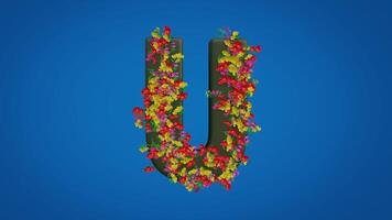 3d U alphabet moving right and left designed with colorful flowers on blue background. Latin letters with luma mate video