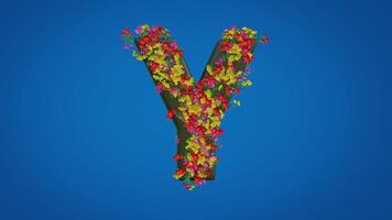 3d Y alphabet moving right and left designed with colorful flowers on blue background. Latin letters with luma mate video