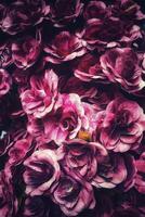 decorative delights from vibrant purple flower accents photo