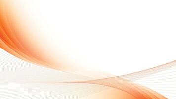 Abstract white and orange color background with modern design wave line pattern. illustration. vector
