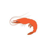 Shrimp logo. Isolated shrimp. Prawns vector
