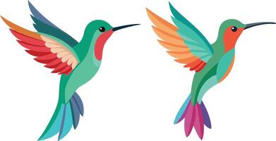 Flat color image of beautiful bird of Hummingbird on white background vector