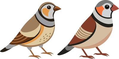 a beautiful bird Double barred Finch flat color style image with white background. vector