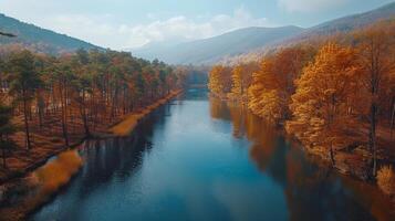 Autumn River Valley With Red And Yellow Trees. Cloudy Sky Over Mountain Landscape. FPV drone shot photo