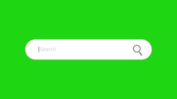 Search Bar Animation with Green Screen for Website SEO and Internet Optimization. 4K Resolution video