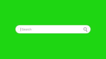Search Bar Animation with Green Screen for Website SEO and Internet Optimization. 4K Resolution video